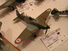 model Morane-Saulnier MS.406